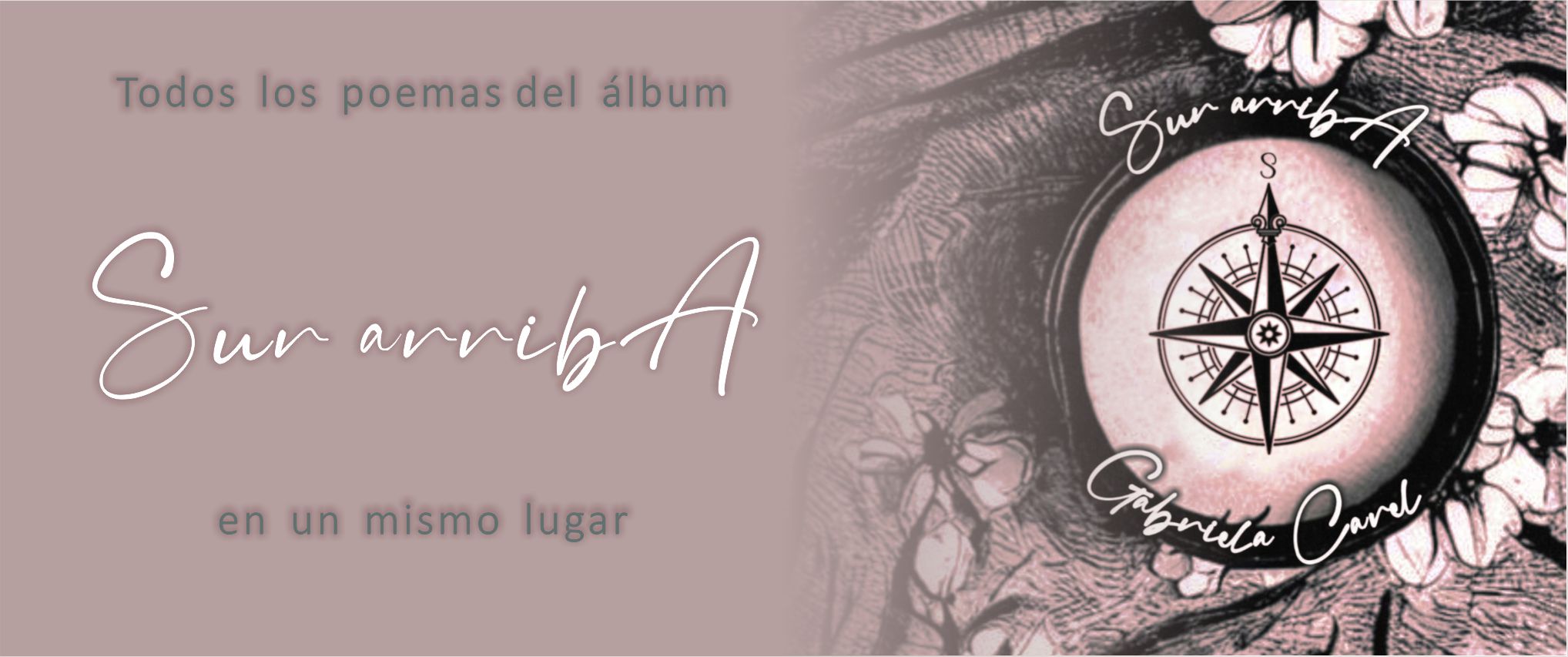 Invitación a completar el formulario de contacto con tus datos para pedir el poemario del álbum "Sur Arriba"